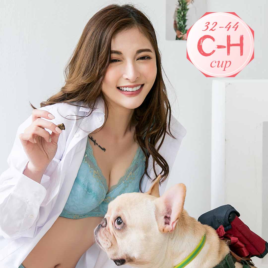 【C-H大尺碼】親膚絲棉包覆提托內衣 紫膚黑綠 - 鋼圈