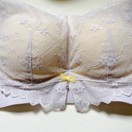 法式蕾絲蠶絲Q彈杯無鋼圈內衣
